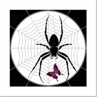 The spider and the butterfly in the web Posters and Art